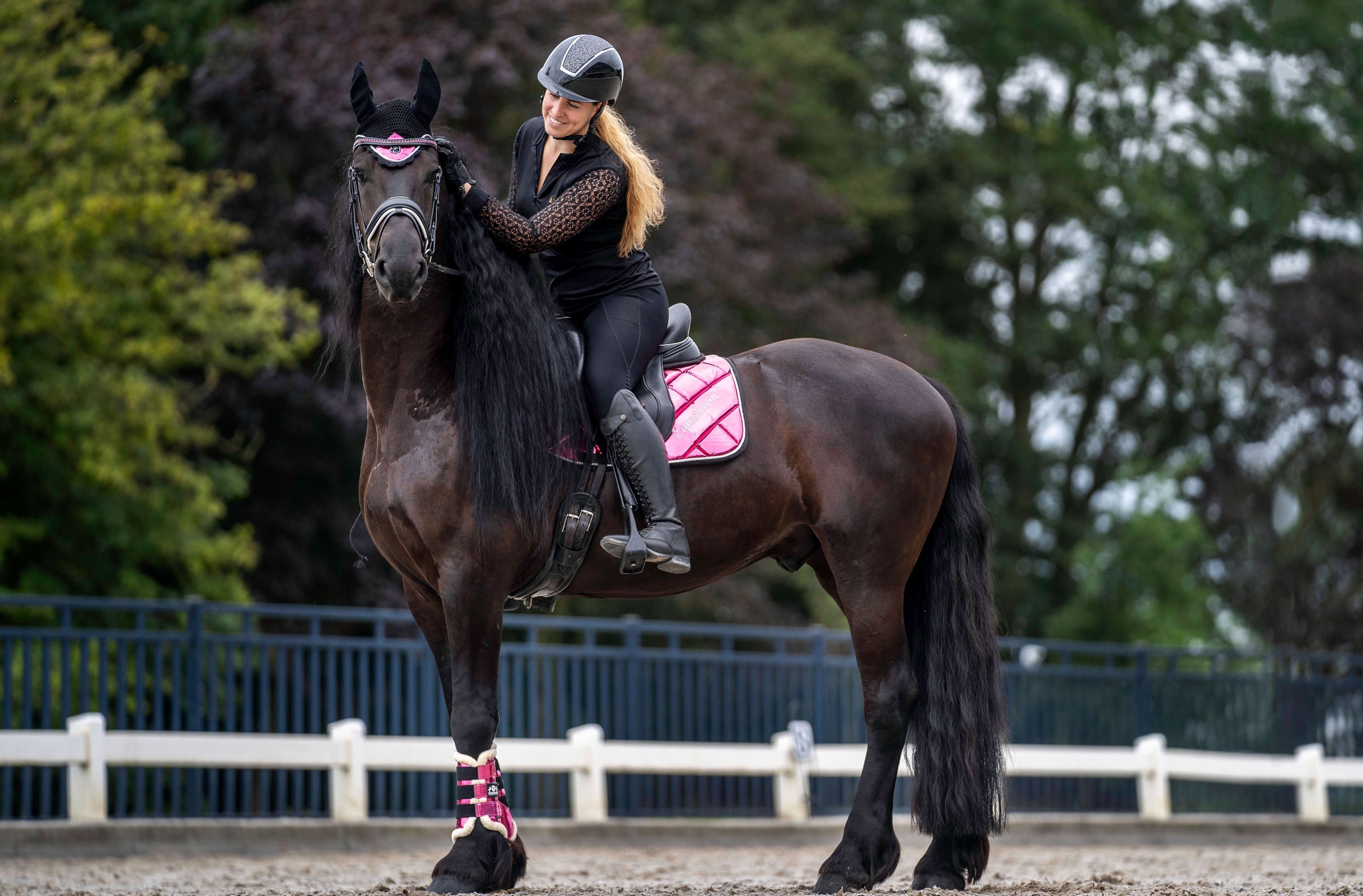 Neon Pink Brushing Boots - Equestroom - Equiluxe Tack