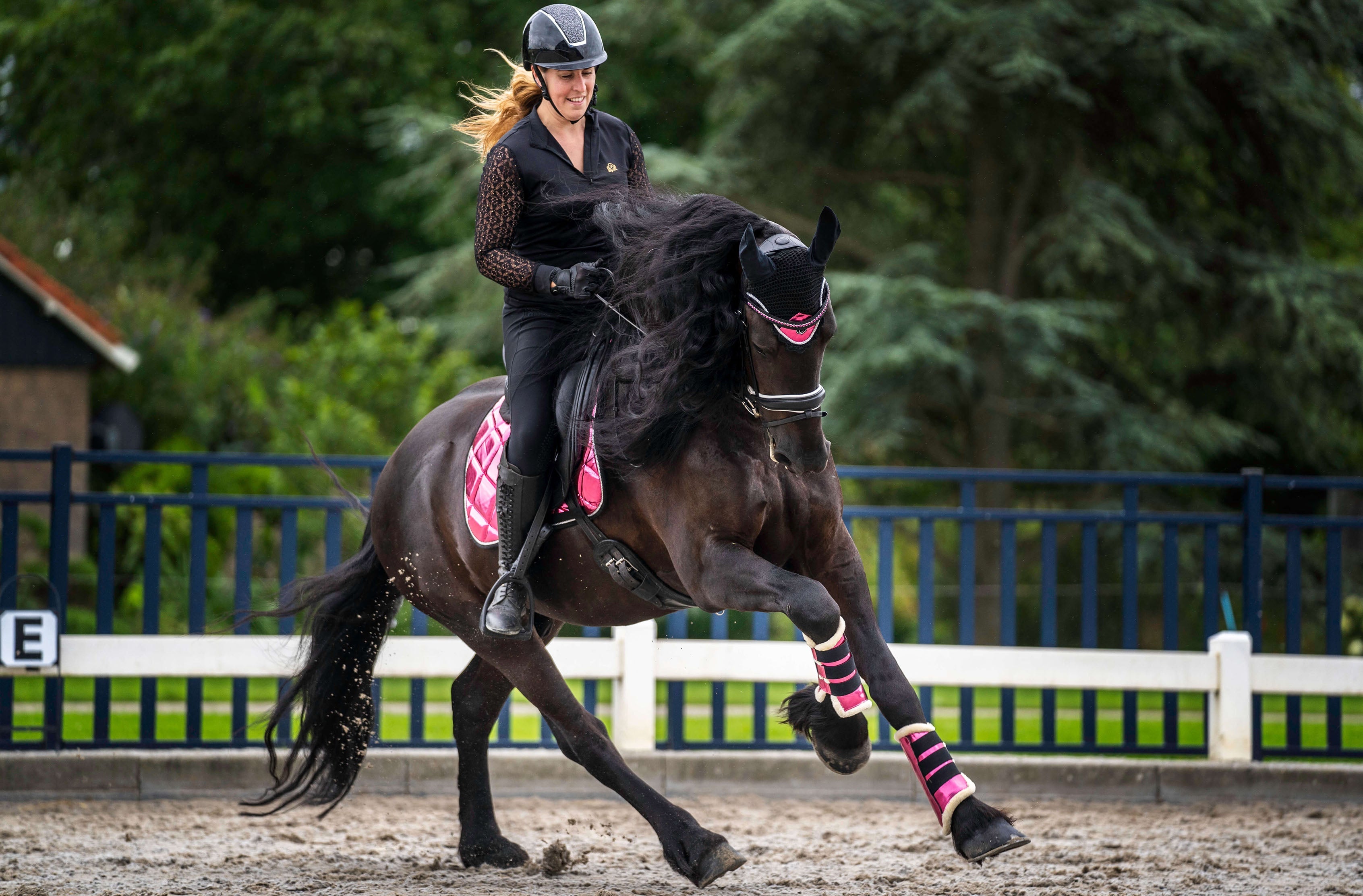 Neon Pink Brushing Boots - Equestroom - Equiluxe Tack
