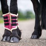 Neon Pink Brushing Boots - Equestroom - Equiluxe Tack