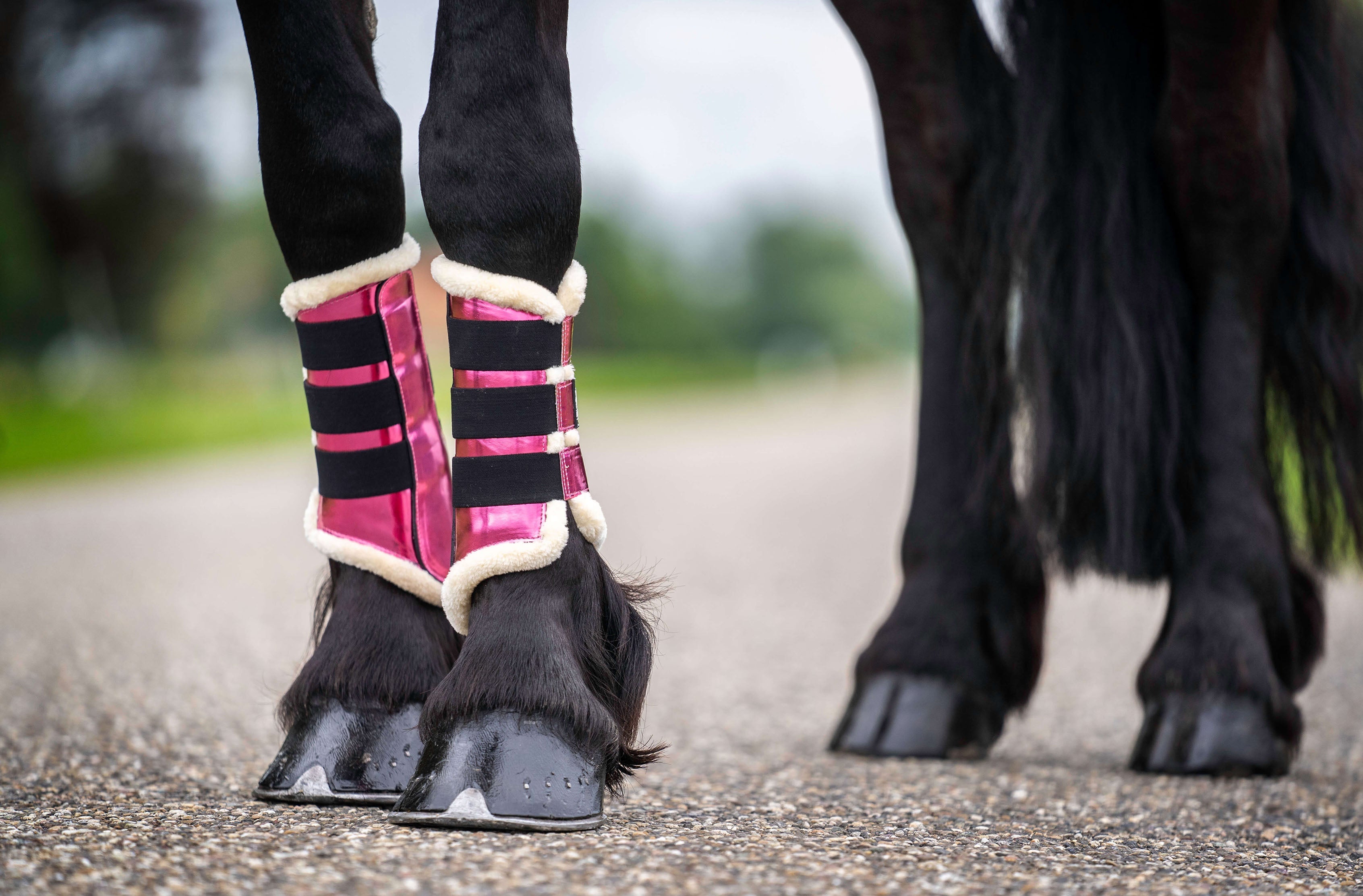 Neon Pink Brushing Boots - Equestroom - Equiluxe Tack