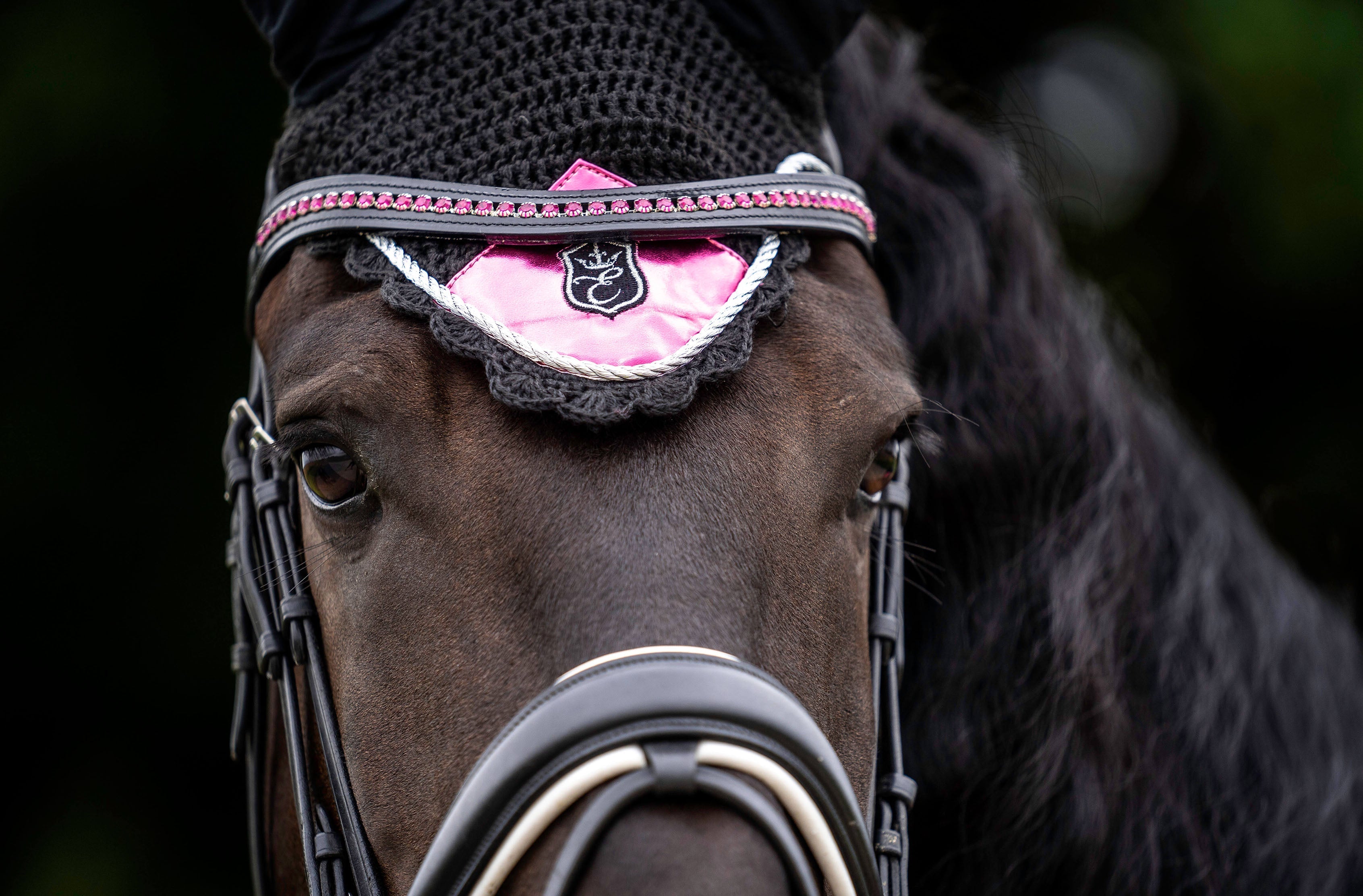 Neon Pink Fly Hat - Equestroom - Equiluxe Tack