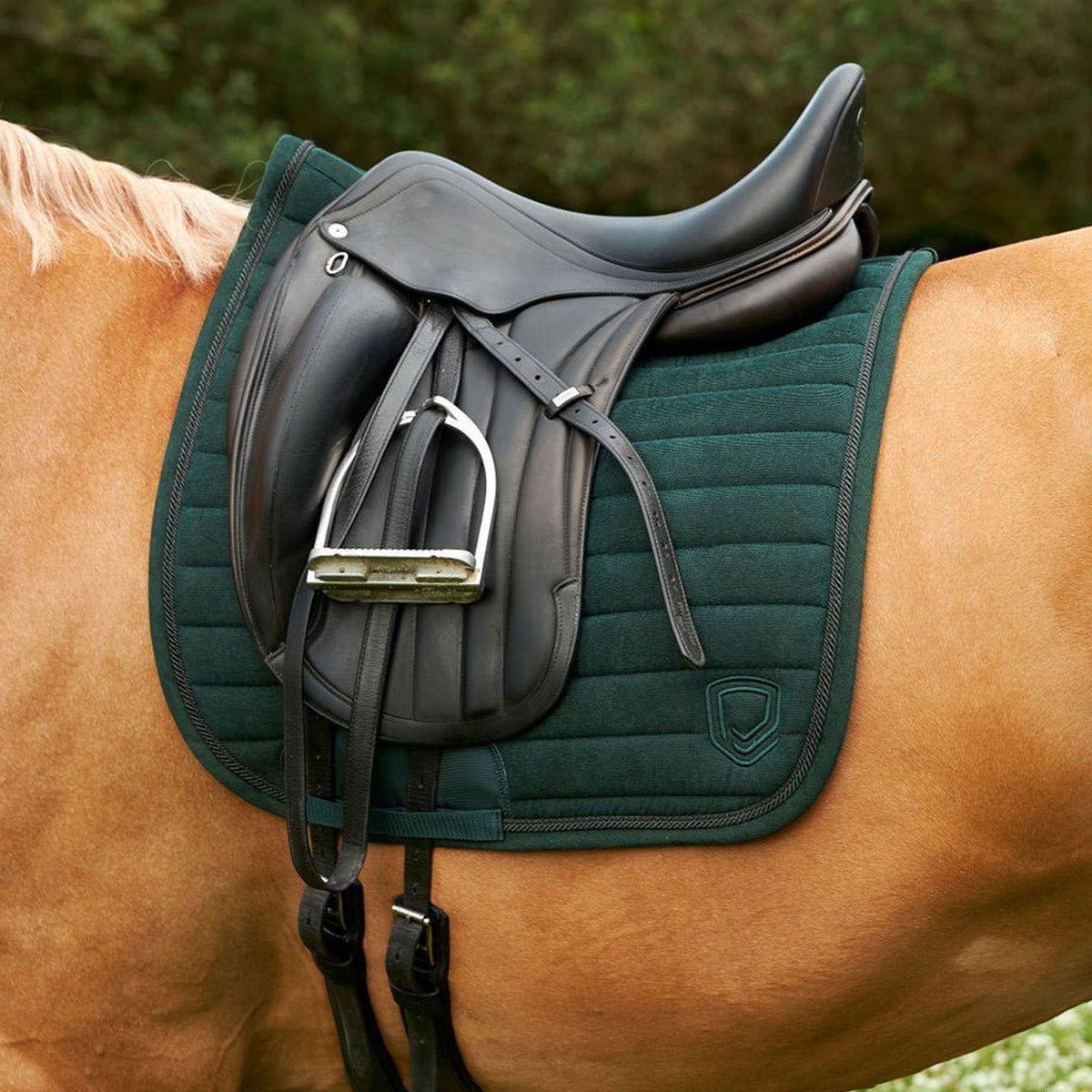 Night Green Corduroy Saddle Pad - Dressage - Equipad - Equiluxe Tack