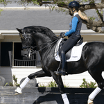 Novella Equestrian The Sanceo. (Long Sleeve) - Novella Equestrian - Equiluxe Tack