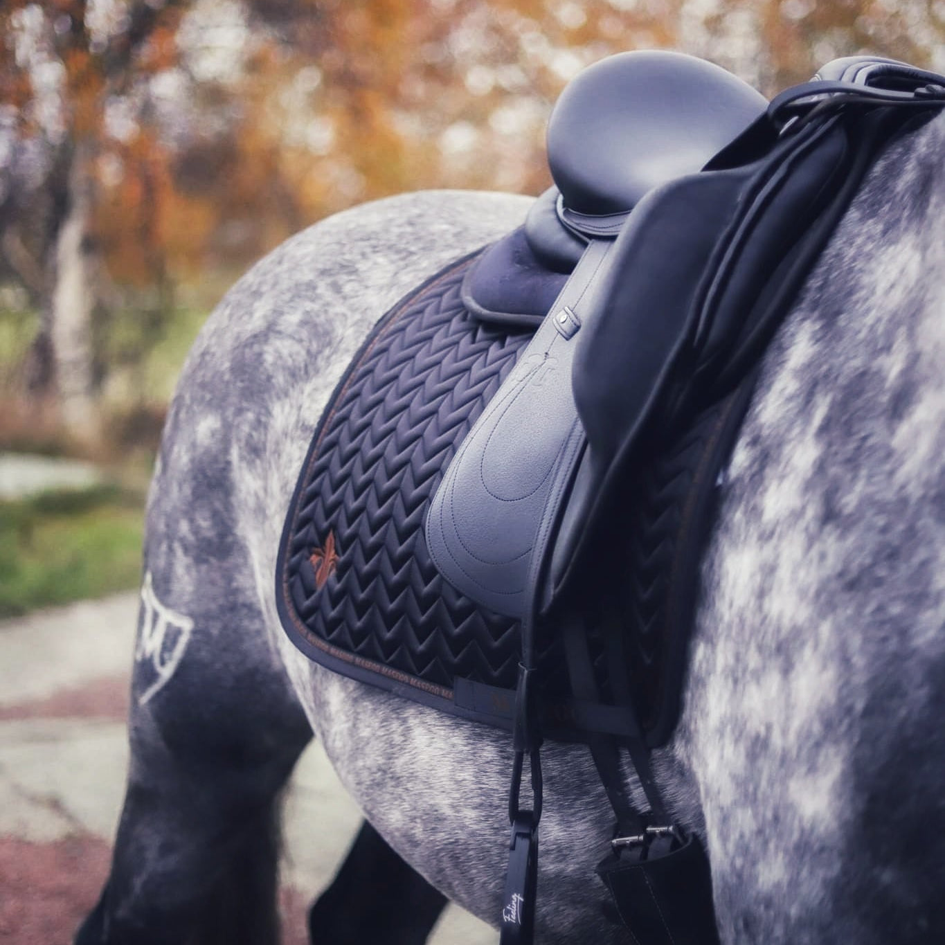 Onyx and Golden Brown satin dressage saddle pad - MASEGO horsewear - Equiluxe Tack