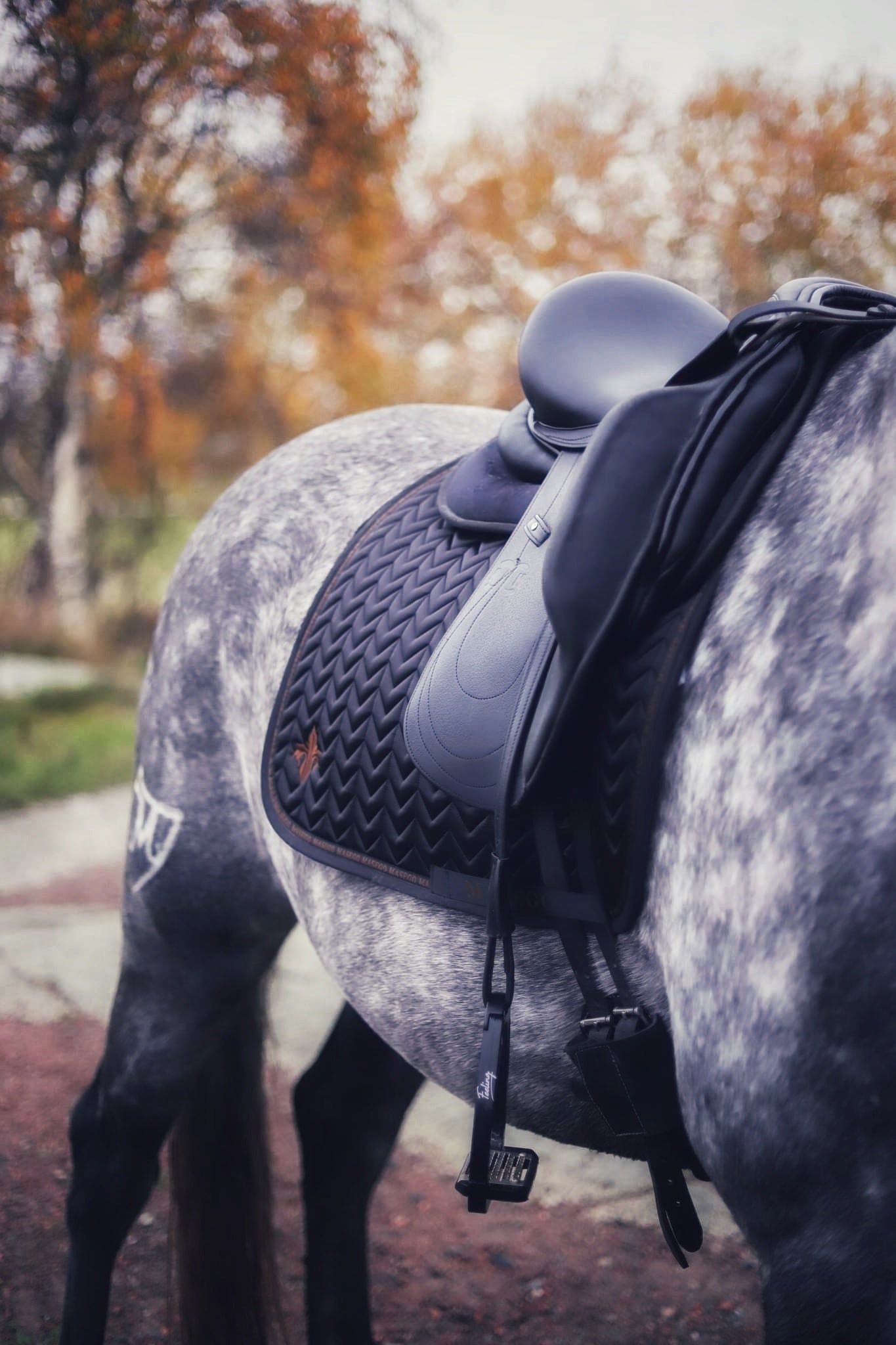 Onyx and Golden Brown satin dressage saddle pad - MASEGO horsewear - Equiluxe Tack