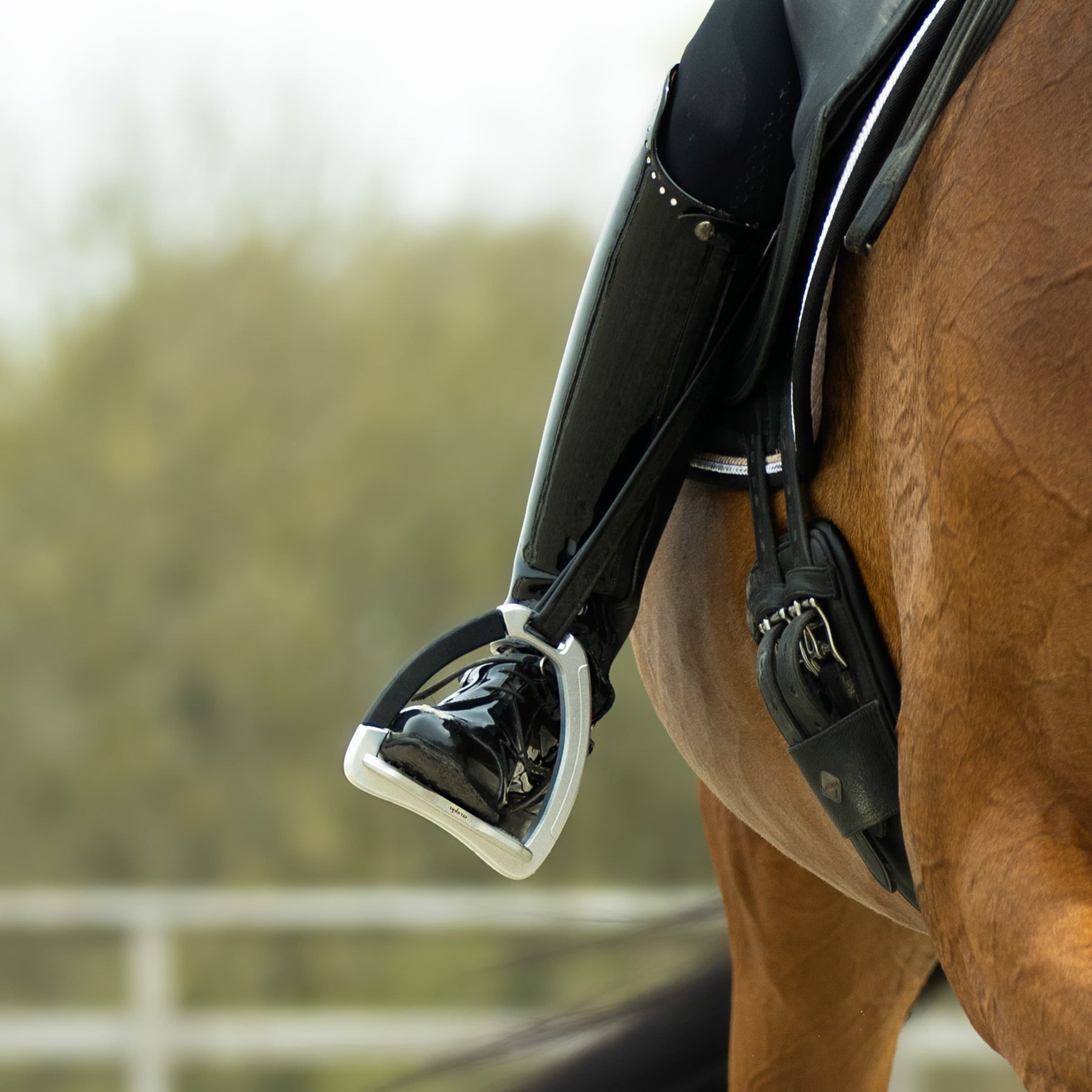 Ophena A Safety Stirrups - Ophena - Equiluxe Tack