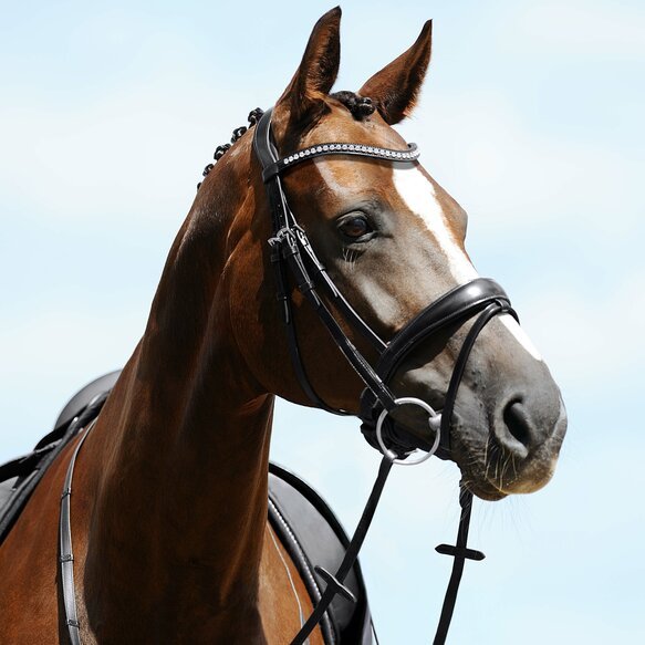 Passier Atlas Snaffle Bridle - Equiluxe Tack
