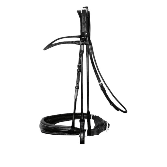 Passier Highscore Double Bridle - Equiluxe Tack