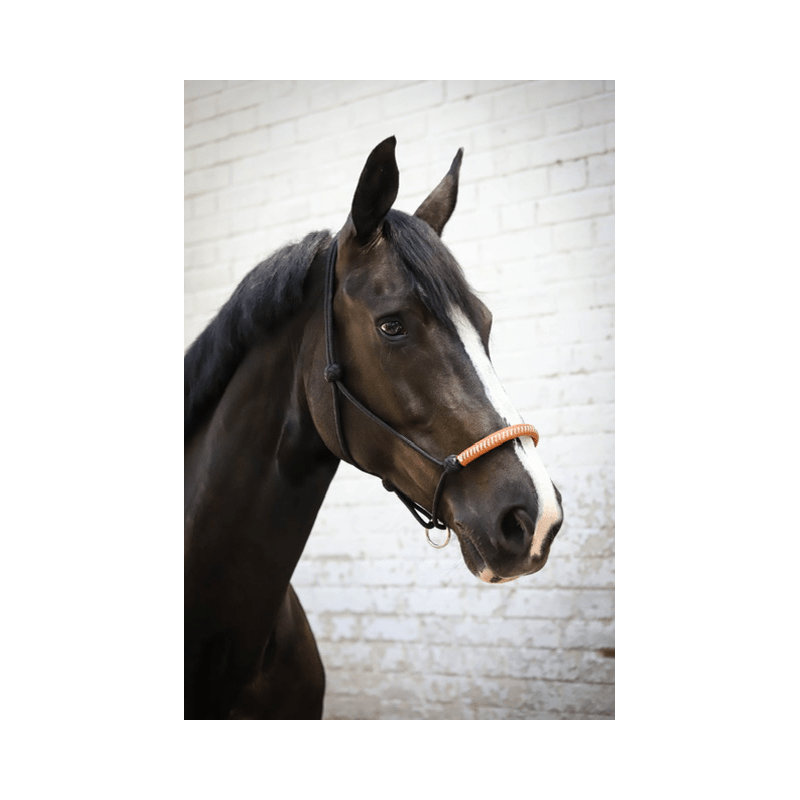 Pénélope American rope halter - Black - Pénélope - Equiluxe Tack