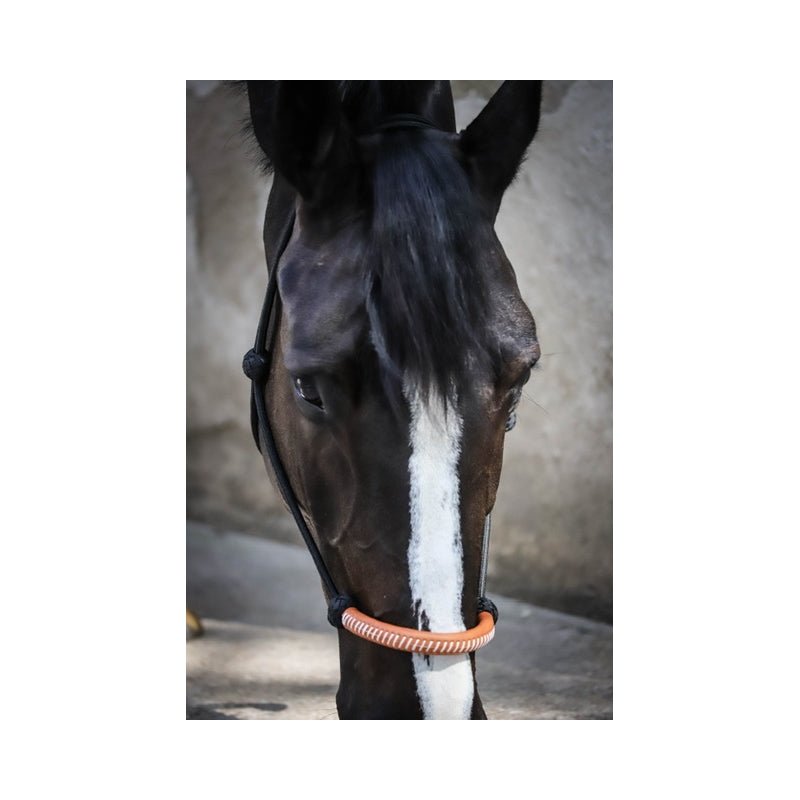 Pénélope American rope halter - Black - Pénélope - Equiluxe Tack