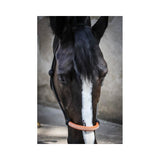 Pénélope American rope halter - Black - Pénélope - Equiluxe Tack