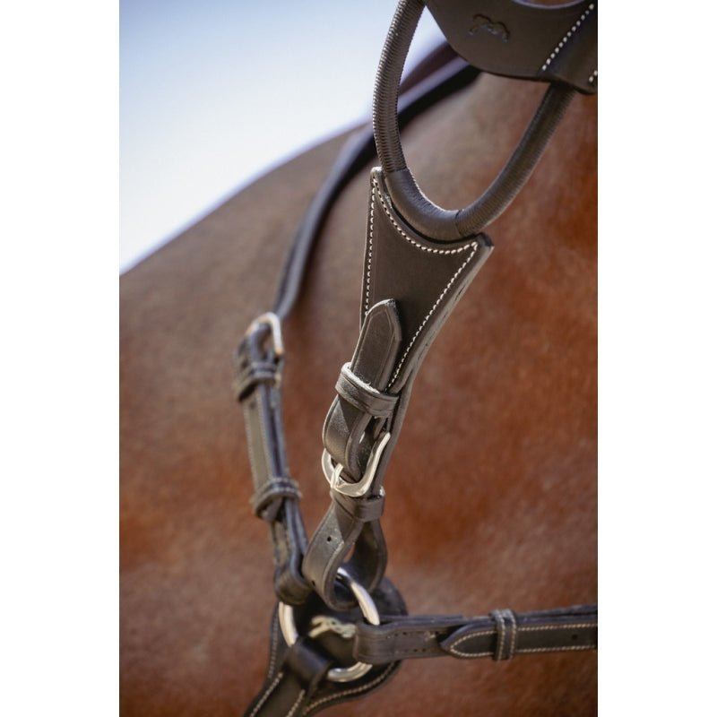 Pénélope Bip Light US Elastic Martingale Attachment - Black - Pénélope - Equiluxe Tack