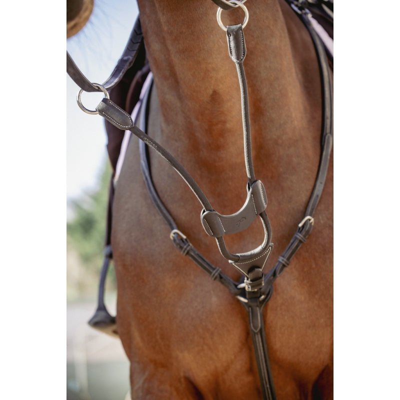 Pénélope Bip Light US Elastic Martingale Attachment - Black - Pénélope - Equiluxe Tack