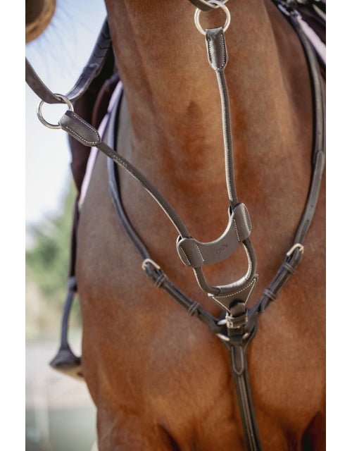 Pénélope Bip Light US Elastic Martingale Attachment - Black - Pénélope - Equiluxe Tack