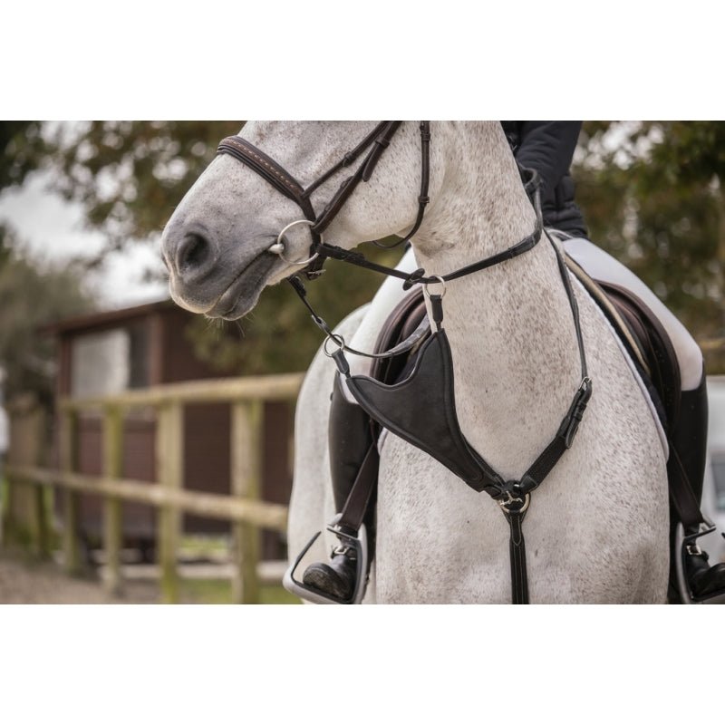 Pénélope Bip Plain Elastic Martingale Attachment - Black - Pénélope - Equiluxe Tack