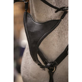 Pénélope Bip Plain Elastic Martingale Attachment - Black - Pénélope - Equiluxe Tack