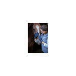 Pénélope Comfort Riding Gloves - Navy - Pénélope - Equiluxe Tack