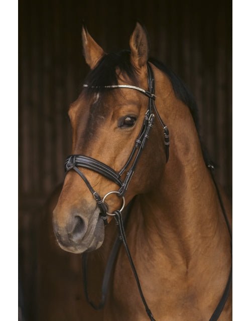 Pénélope Daily Strass Bridle - Black - Pénélope - Equiluxe Tack
