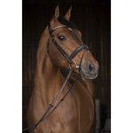 Pénélope Daily Strass Bridle - Black - Pénélope - Equiluxe Tack