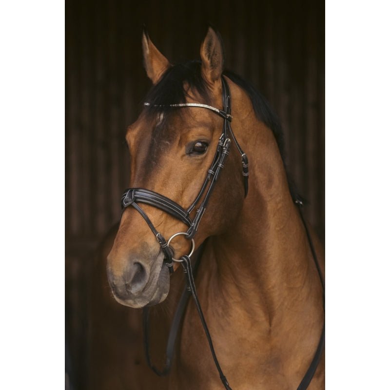Pénélope Daily Strass Bridle - Black - Pénélope - Equiluxe Tack