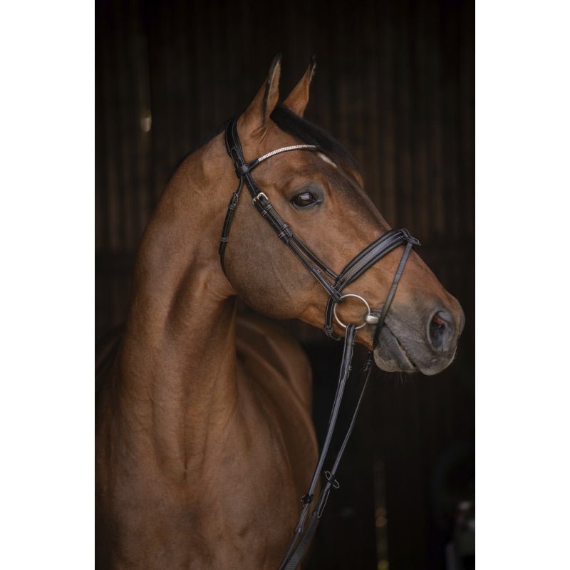 Pénélope Daily Strass Bridle - Black - Pénélope - Equiluxe Tack