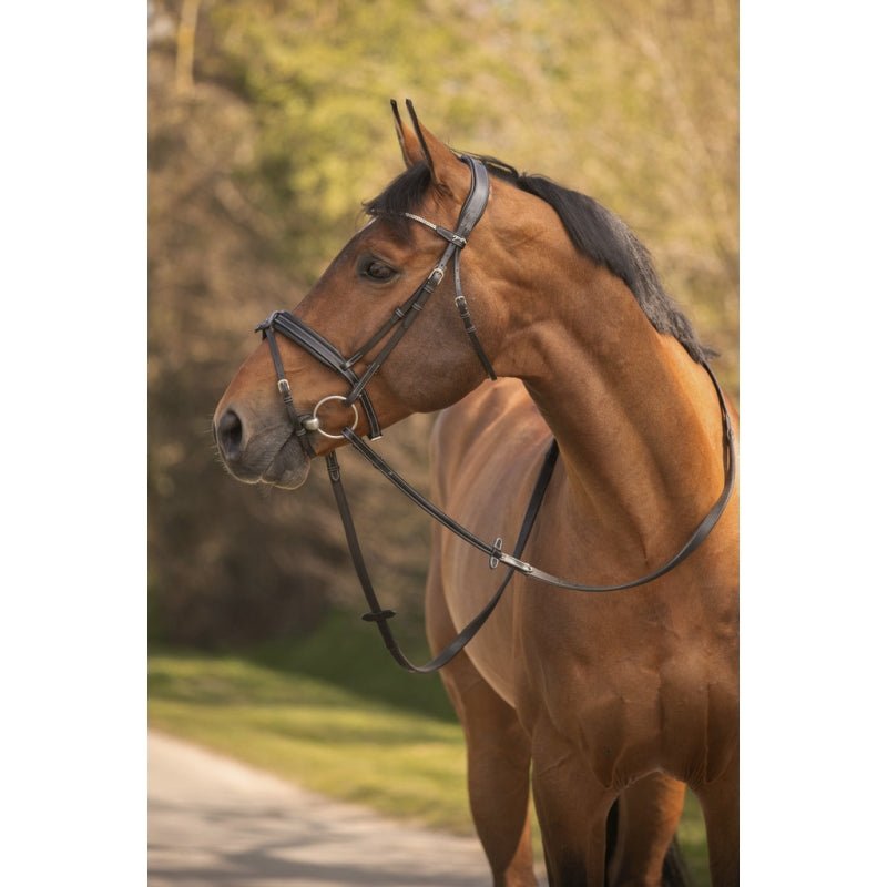 Pénélope Daily Strass Bridle - Black - Pénélope - Equiluxe Tack