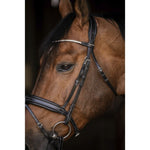 Pénélope Daily Strass Bridle - Black - Pénélope - Equiluxe Tack