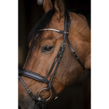 Pénélope Daily Strass Bridle - Black - Pénélope - Equiluxe Tack