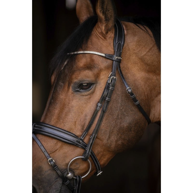 Pénélope Daily Strass Bridle - Black - Pénélope - Equiluxe Tack
