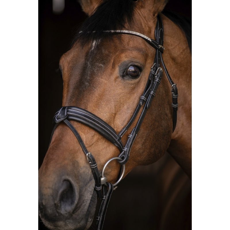 Pénélope Daily Strass Bridle - Black - Pénélope - Equiluxe Tack