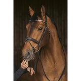 Pénélope Daily Strass Bridle - Black - Pénélope - Equiluxe Tack