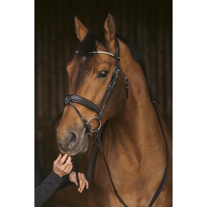Pénélope Daily Strass Bridle - Black - Pénélope - Equiluxe Tack
