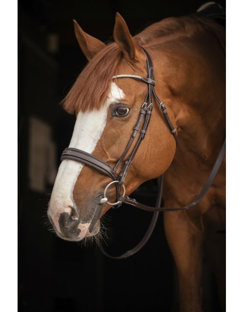 Pénélope Daily Strass Bridle - Havana - Pénélope - Equiluxe Tack