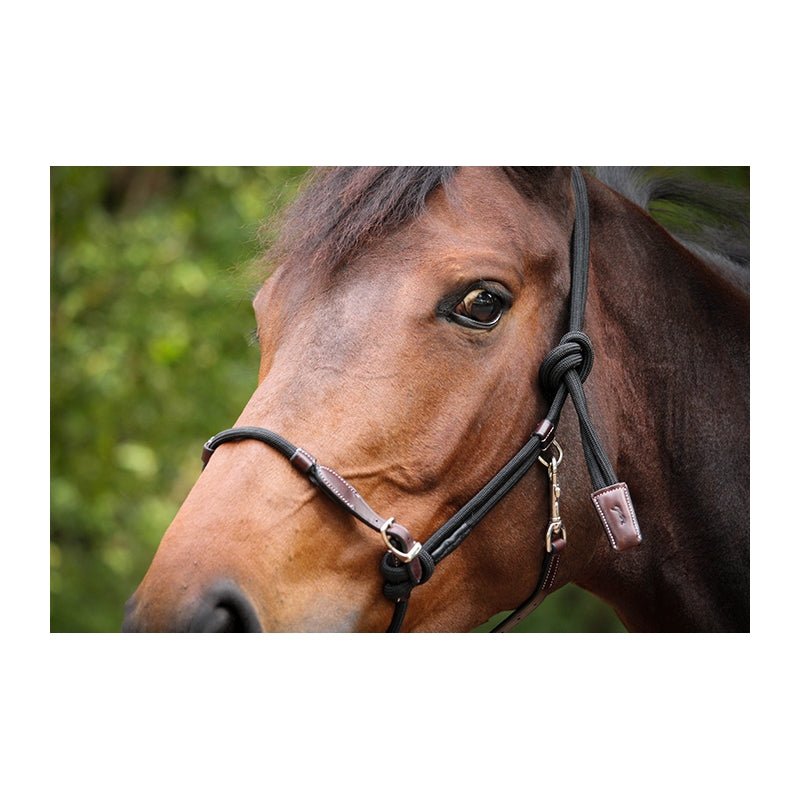 Pénélope Ethological Halter - Pénélope - Equiluxe Tack