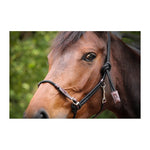 Pénélope Ethological Halter - Pénélope - Equiluxe Tack