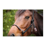 Pénélope Ethological Halter - Pénélope - Equiluxe Tack