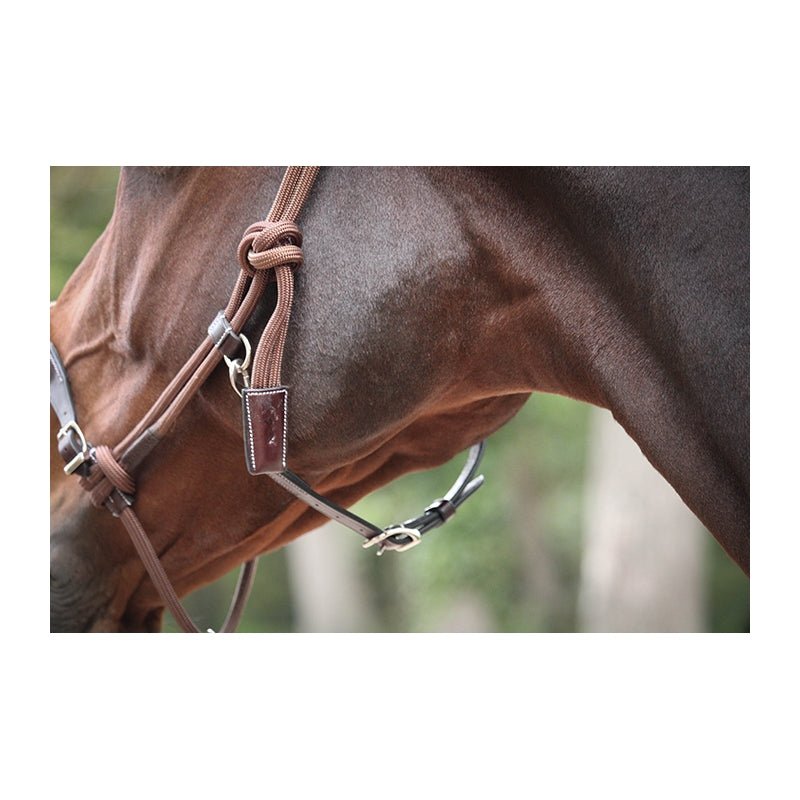 Pénélope Ethological Halter - Pénélope - Equiluxe Tack
