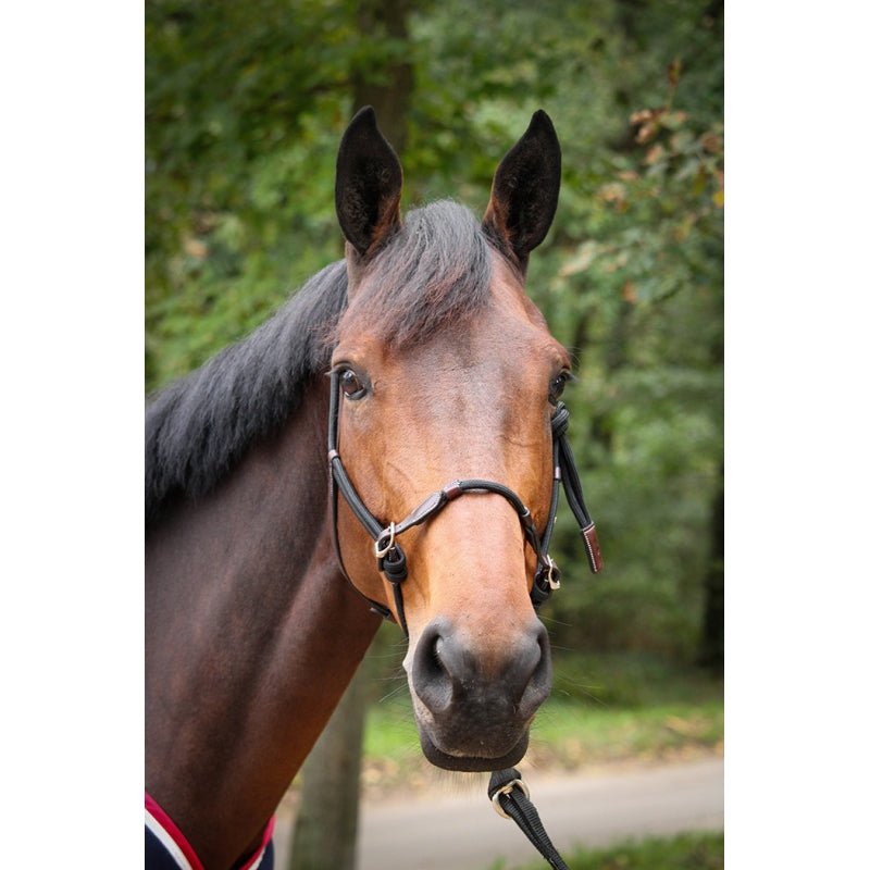 Pénélope Ethological Halter - Pénélope - Equiluxe Tack