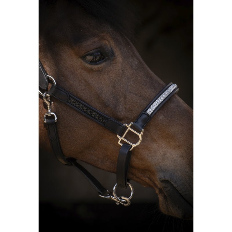 Pénélope Harmonie Halter - Black - Pénélope - Equiluxe Tack
