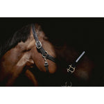 Pénélope Harmonie Halter - Black - Pénélope - Equiluxe Tack