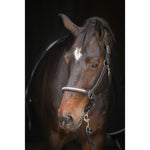 Pénélope Harmonie Halter - Black - Pénélope - Equiluxe Tack