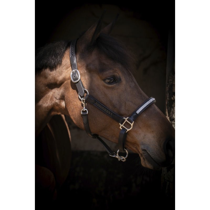 Pénélope Harmonie Halter - Black - Pénélope - Equiluxe Tack