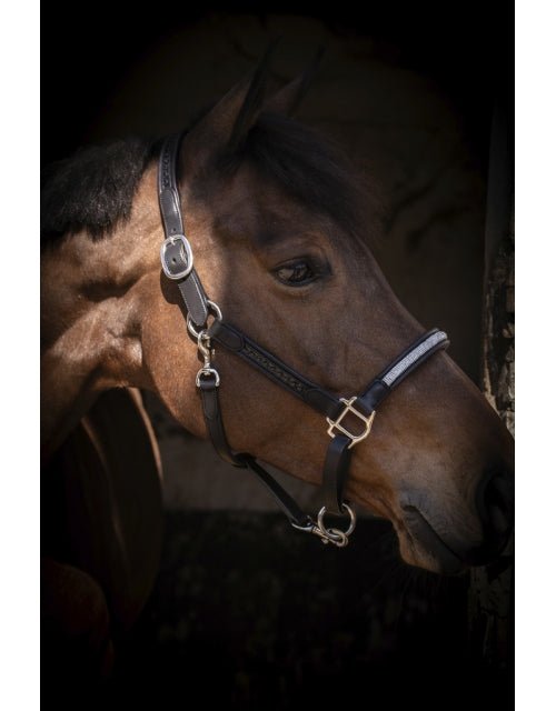 Pénélope Harmonie Halter - Black - Pénélope - Equiluxe Tack