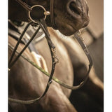 Pénélope Howlett Training Aid - Black - Pénélope - Equiluxe Tack