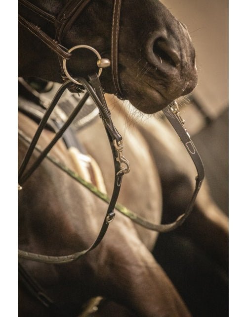 Pénélope Howlett Training Aid - Black - Pénélope - Equiluxe Tack
