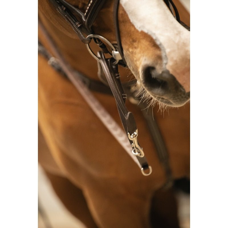 Pénélope Howlett Training Aid - Havana - Pénélope - Equiluxe Tack