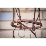 Pénélope Hunter US Bridle - Chestnut & Havana - Pénélope - Equiluxe Tack