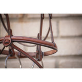 Pénélope Hunter US Bridle - Chestnut & Havana - Pénélope - Equiluxe Tack