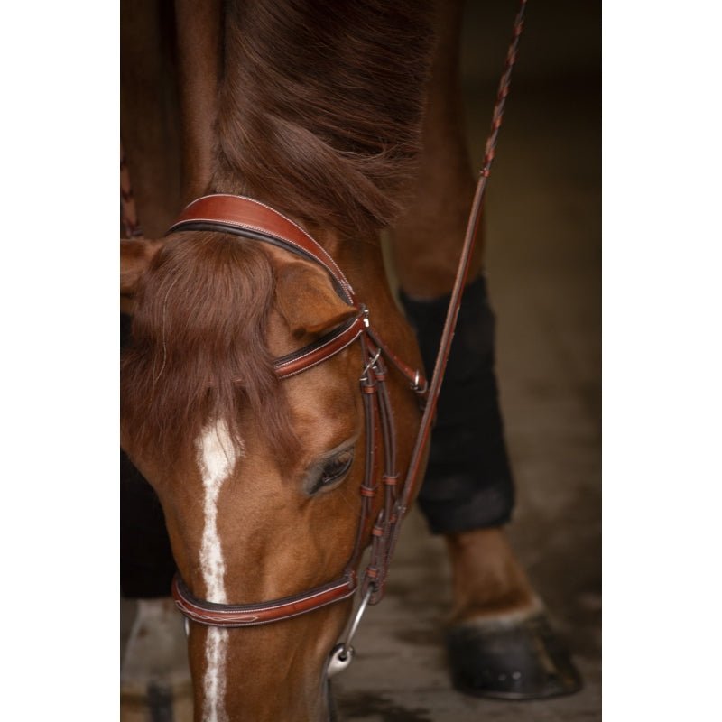 Pénélope Hunter US Bridle - Chestnut & Havana - Pénélope - Equiluxe Tack