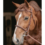 Pénélope Hunter US Bridle - Chestnut & Havana - Pénélope - Equiluxe Tack